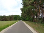 2019 - Gurkenradweg