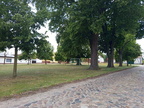 Nauen